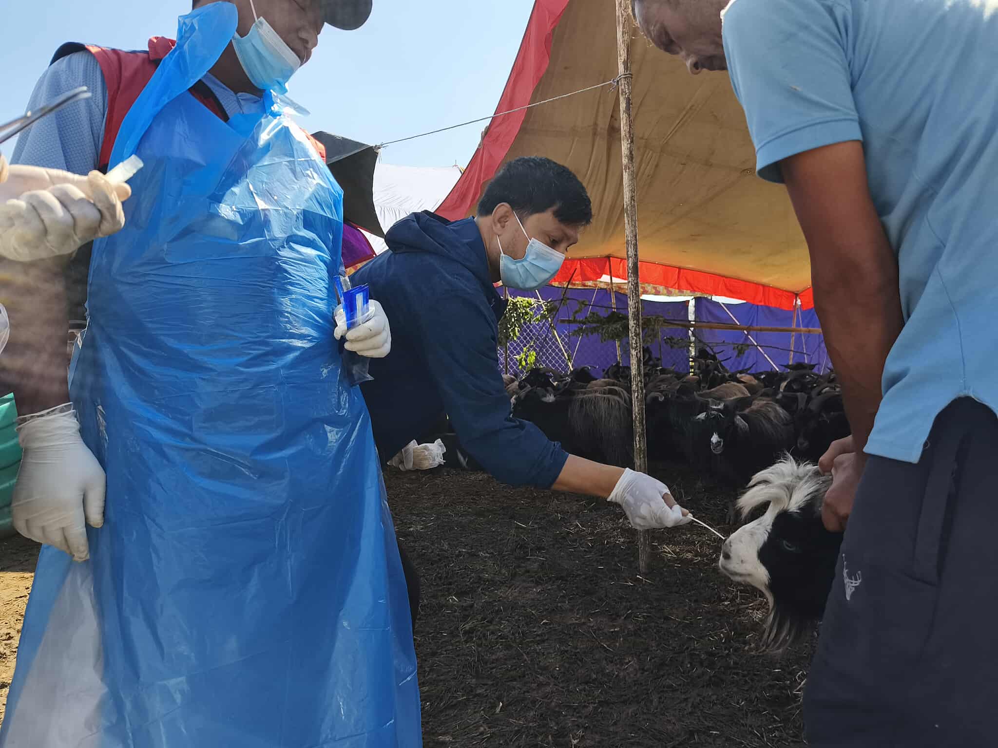 Slider Image: चाडपर्व लक्षित बजार अनुगमन तथा स्वास्थ्य परीक्षण।