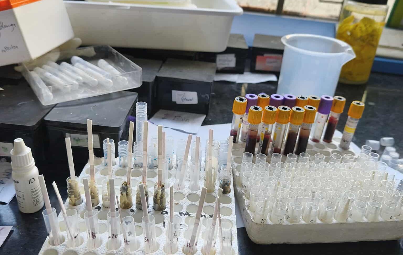 Slider Image: चाडपर्व लक्षित बजार अनुगमन तथा स्वास्थ्य परीक्षण।